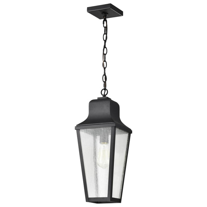 Hanging Lantern Nuvo 60-8135 Lawrence - 1 Light Hanging Lantern - Matte Black with Clear Seeded Glass Nuvo