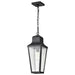 Hanging Lantern Nuvo 60-8135 Lawrence - 1 Light Hanging Lantern - Matte Black with Clear Seeded Glass Nuvo