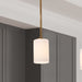 Mini Pendant Nuvo 60-8205 Liam - 1 Light Mini Pendant - Burnished Brass - White Opal Glass Nuvo