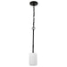 Mini Pendant Nuvo 60-8215 Liam - 1 Light Mini Pendant - Matte Black - White Opal Glass Nuvo