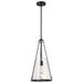 Pendant Nuvo 60-8256 Valentine - Medium Pendant - Black Finish - Hammered Glass Nuvo