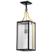 Pendant Nuvo 60-8505 Holden - Hanging Pendant - Gold and Black Finish - Clear Glass Nuvo