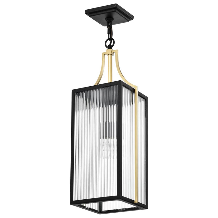 Pendant Nuvo 60-8505 Holden - Hanging Pendant - Gold and Black Finish - Clear Glass Nuvo