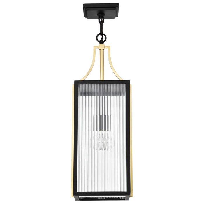 Pendant Nuvo 60-8505 Holden - Hanging Pendant - Gold and Black Finish - Clear Glass Nuvo