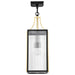 Pendant Nuvo 60-8505 Holden - Hanging Pendant - Gold and Black Finish - Clear Glass Nuvo