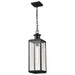 Pendant Nuvo 60-8514 Luca - Hanging Pendant - Sand Black Finish - Clear Beveled Glass Nuvo