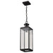 Pendant Nuvo 60-8514 Luca - Hanging Pendant - Sand Black Finish - Clear Beveled Glass Nuvo