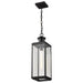 Pendant Nuvo 60-8514 Luca - Hanging Pendant - Sand Black Finish - Clear Beveled Glass Nuvo