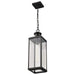 Pendant Nuvo 60-8514 Luca - Hanging Pendant - Sand Black Finish - Clear Beveled Glass Nuvo