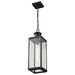 Pendant Nuvo 60-8514 Luca - Hanging Pendant - Sand Black Finish - Clear Beveled Glass Nuvo