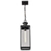Pendant Nuvo 60-8514 Luca - Hanging Pendant - Sand Black Finish - Clear Beveled Glass Nuvo