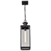 Pendant Nuvo 60-8514 Luca - Hanging Pendant - Sand Black Finish - Clear Beveled Glass Nuvo