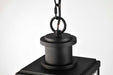 Pendant Nuvo 60-8514 Luca - Hanging Pendant - Sand Black Finish - Clear Beveled Glass Nuvo