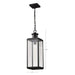 Pendant Nuvo 60-8514 Luca - Hanging Pendant - Sand Black Finish - Clear Beveled Glass Nuvo
