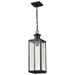 Pendant Nuvo 60-8514 Luca - Hanging Pendant - Sand Black Finish - Clear Beveled Glass Nuvo