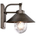 Wall Lantern Nuvo 60-8530 Ridge - Small Outdoor Lantern - Bronze Finish - Clear Seeded Glass Nuvo
