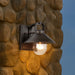 Wall Lantern Nuvo 60-8530 Ridge - Small Outdoor Lantern - Bronze Finish - Clear Seeded Glass Nuvo