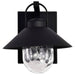Wall Lantern Nuvo 60-8540 Ridge - Small Outdoor Lantern - Black Finish - Clear Seeded Glass Nuvo