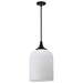 Pendant Nuvo 60-8646 Solara - Pendant - Matte Black Finish - Frosted Ribbed Glass Nuvo