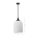 Pendant Nuvo 60-8646 Solara - Pendant - Matte Black Finish - Frosted Ribbed Glass Nuvo