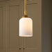 Mini Pendant Nuvo 60-8665 Solara - Mini Pendant - Natural Brass Finish - Frosted Ribbed Glass Nuvo