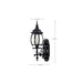 Wall Lantern Nuvo 60-887 Central Park - 1 Light - 20 in. - Wall Lantern with Clear Beveled Glass - Textured Black Finish Nuvo