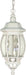 Hanging Lantern Nuvo 60-894 Central Park - 3 Light - 20 in. - Hanging Lantern with Clear Beveled Glass - White Finish Nuvo