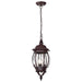 Hanging Lantern Nuvo 60-895 Central Park - 3 Light - 20 in. - Hanging Lantern with Clear Beveled Glass - Old Bronze Finish Nuvo