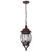 Hanging Lantern Nuvo 60-895 Central Park - 3 Light - 20 in. - Hanging Lantern with Clear Beveled Glass - Old Bronze Finish Nuvo
