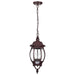 Hanging Lantern Nuvo 60-895 Central Park - 3 Light - 20 in. - Hanging Lantern with Clear Beveled Glass - Old Bronze Finish Nuvo