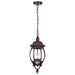 Hanging Lantern Nuvo 60-895 Central Park - 3 Light - 20 in. - Hanging Lantern with Clear Beveled Glass - Old Bronze Finish Nuvo
