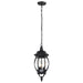 Hanging Lantern Nuvo 60-896 Central Park - 3 Light - 20 in. - Hanging Lantern with Clear Beveled Glass - Textured Black Finish Nuvo