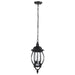 Hanging Lantern Nuvo 60-896 Central Park - 3 Light - 20 in. - Hanging Lantern with Clear Beveled Glass - Textured Black Finish Nuvo
