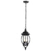 Hanging Lantern Nuvo 60-896 Central Park - 3 Light - 20 in. - Hanging Lantern with Clear Beveled Glass - Textured Black Finish Nuvo
