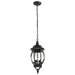 Hanging Lantern Nuvo 60-896 Central Park - 3 Light - 20 in. - Hanging Lantern with Clear Beveled Glass - Textured Black Finish Nuvo