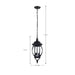 Hanging Lantern Nuvo 60-896 Central Park - 3 Light - 20 in. - Hanging Lantern with Clear Beveled Glass - Textured Black Finish Nuvo