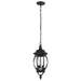 Hanging Lantern Nuvo 60-896 Central Park - 3 Light - 20 in. - Hanging Lantern with Clear Beveled Glass - Textured Black Finish Nuvo