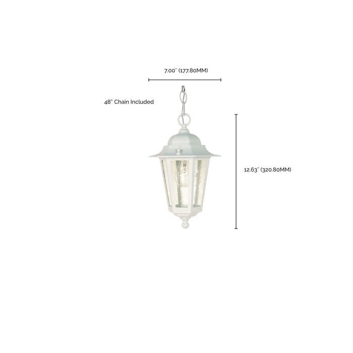 Hanging Lantern Nuvo 60-991 Cornerstone - 1 Light - 13 in. - Hanging Lantern with Clear Seed Glass - White Finish Nuvo