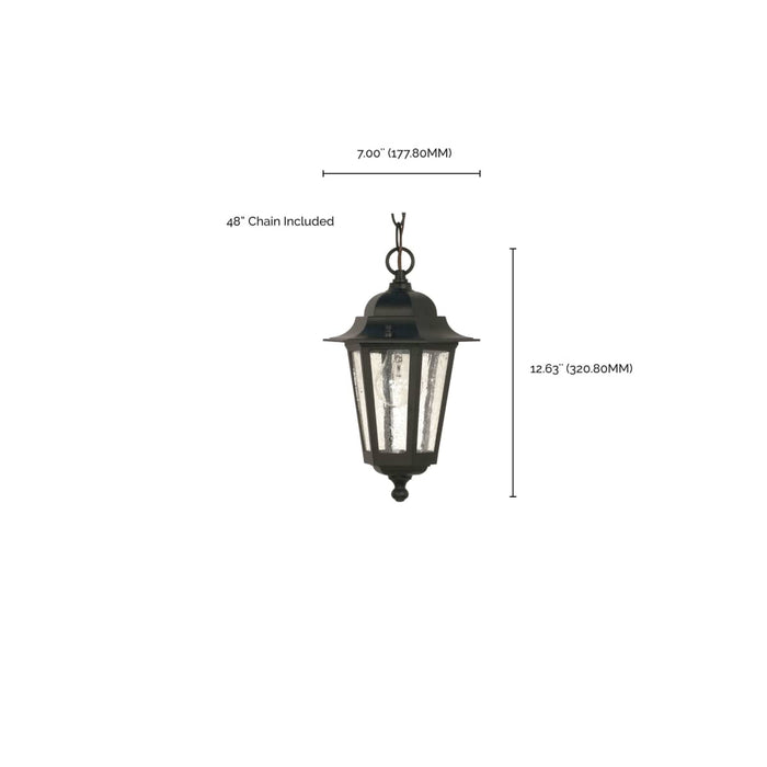 Hanging Lantern Nuvo 60-993 Cornerstone - 1 Light - 13 in. - Hanging Lantern with Clear Seed Glass - Textured Black Finish Nuvo