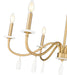Chandelier Z-Lite 6103-32MGLD Mordern Gold Toussant 6 Light Chandelier Z-Lite