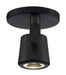 Monopoint Nuvo 62-1107 12 Watt - LED - Black - Taper Back - Monopoint - 3000K - 36 deg. Beam Angle Nuvo