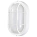 Bulk Head Nuvo 62-1388 LED Small Oval Bulk Head Fixture - White Finish with White Glass Nuvo