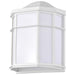 Bulk Head Nuvo 62-1396 LED Cage Lantern Fixture - White Finish with White Linen Acrylic Nuvo