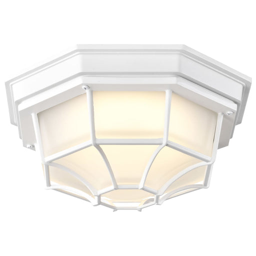Bulk Head Nuvo 62-1399 LED Spider Cage Fixture - White Finish with Frosted Glass Nuvo
