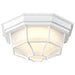 Bulk Head Nuvo 62-1399 LED Spider Cage Fixture - White Finish with Frosted Glass Nuvo