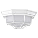 Bulk Head Nuvo 62-1399 LED Spider Cage Fixture - White Finish with Frosted Glass Nuvo