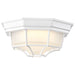 Bulk Head Nuvo 62-1399 LED Spider Cage Fixture - White Finish with Frosted Glass Nuvo