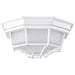 Bulk Head Nuvo 62-1399 LED Spider Cage Fixture - White Finish with Frosted Glass Nuvo