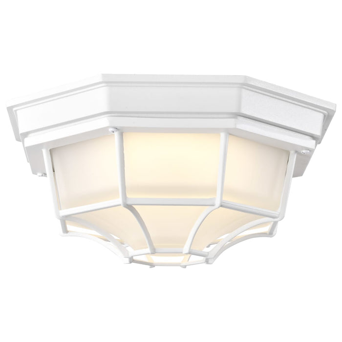 Bulk Head Nuvo 62-1399 LED Spider Cage Fixture - White Finish with Frosted Glass Nuvo