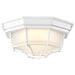 Bulk Head Nuvo 62-1399 LED Spider Cage Fixture - White Finish with Frosted Glass Nuvo